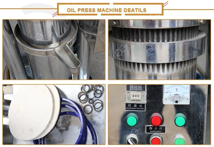 High Oil Yield Seed Oil Processing Equipment Oil Cold Press Machine