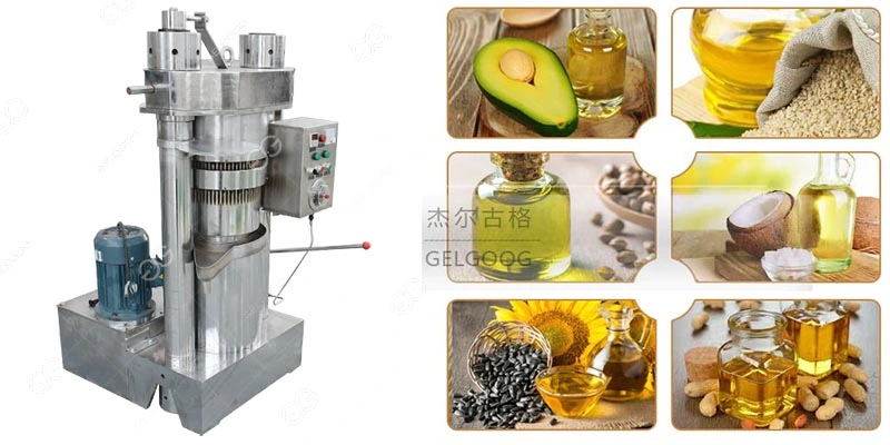 High Oil Yield Seed Oil Processing Equipment Oil Cold Press Machine