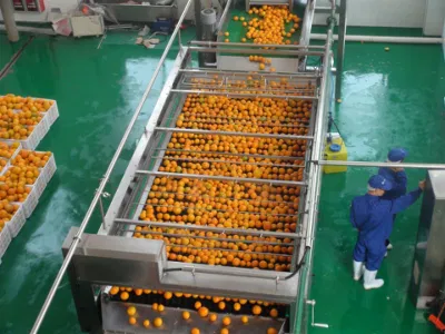 Complete Orange Juice Processing and Oil Pressing Line Citrus Production Machines